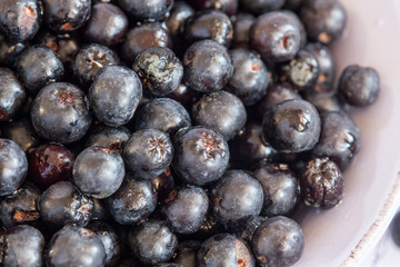 Aronia in close-up