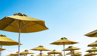 beach umbrellas on the blue sky scene