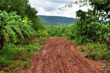 Rural blackcountry road in the rainy season
