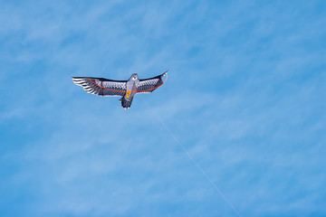 Kite in the blue sky with clouds in the form of an eagle bird. Colored kite on a thread. The wings are open to the sides. Copy space.
