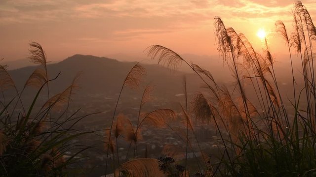 sunset scenery with orange clouds and sky at the Puli town, Nantou, Taiwan