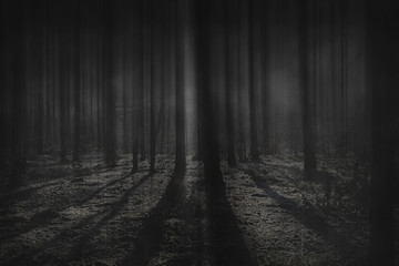 Ciemny, mroczny las