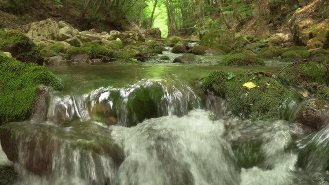Spring rill flow into canyon. Green forest and clean water in river. Nature composition.