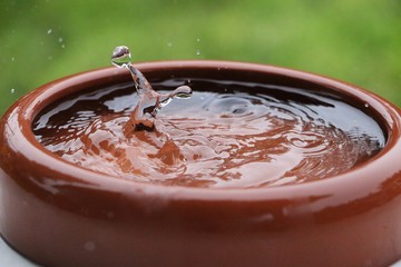 rain is falling in a ceramic feeding bowl full of water