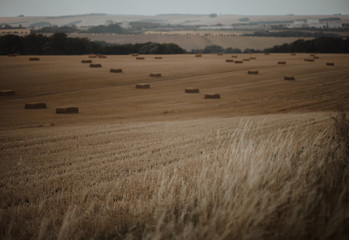 Obraz premium Felder und Hügel