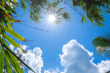 The day when the sky is clear, the clouds float, the sunlight shines through the leaves.