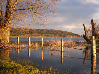 Flooded Somerset fields after the 2014 floods, with wooden fence reflected in the water.
