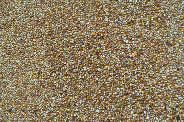 sunflower seeds background
