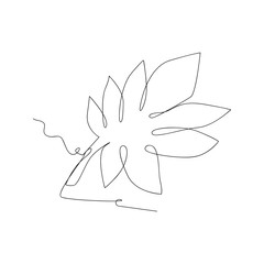 continuous line drawing of eucalyptus leaves. isolated sketch drawing of eucalyptus leaves line concept. outline thin stroke vector illustration