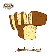 Colored drawing of Anadama bread bread