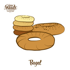Colored drawing of Bagel bread