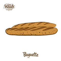 Colored drawing of Baguette bread