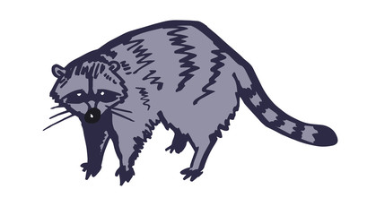 Racoon character isolated