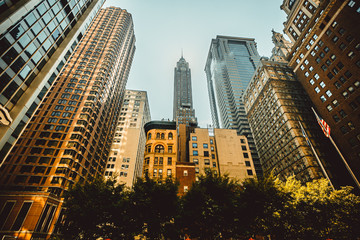 Fototapeta premium bulding new york