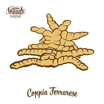 Colored drawing of Coppia Ferrarese bread