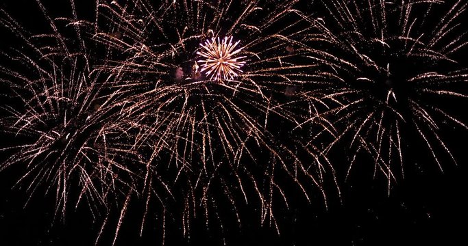 Wonderful fireworks show for celebration on black night sky - Event & Festive concept 4K