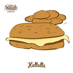 Colored drawing of Hallulla bread