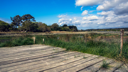 GOLFE DU MORBIHAN - BADEN