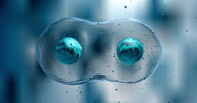 Slow motion macro of micro hi tech cells molecules reproduction division and multiplication process is analyzed with microscope for biochemistry and dna research in futuristic scientific laboratory.