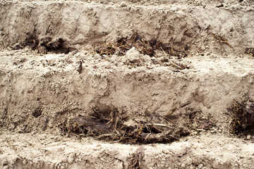 Ploughed field. Treatment and fertilization of land, soils. Agriculture