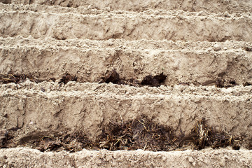 Ploughed field. Treatment and fertilization of land, soils. Agriculture