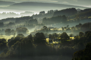 Morning Mist between Wooded Hills