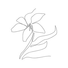continuous line drawing of flower. isolated sketch drawing of flower line concept. outline thin stroke vector illustration