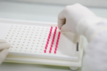  manipulation of capsules pink in the pharmacy