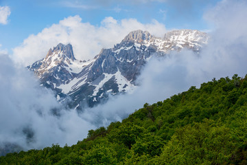 Picos de Europa national park