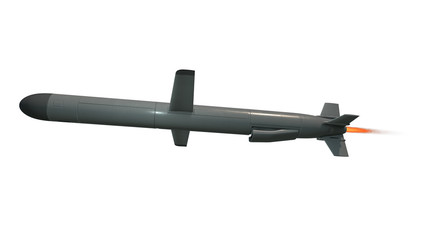 Cruise missile. 3D render