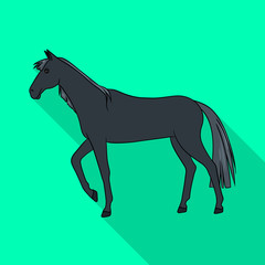 Isolated object of horse and black symbol. Collection of horse and horseback vector icon for stock.
