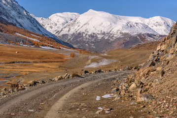mountains road larch autumn snow