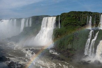 Fototapeta na wymiar Iguazu Falls with forest in Argentina