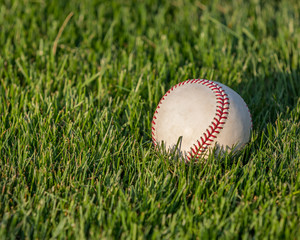 closeup of baseball in green grass of field on a sunny day
