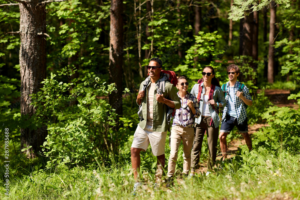 Wall mural travel, tourism, hike and people concept - group of friends walking with backpacks in forest