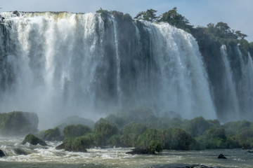 Fototapeta premium Iguazu Falls with forest in Argentina
