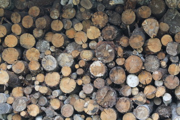 pile of wood