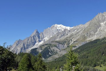 Fototapeta na wymiar Il Monte Bianco visto dalla val Ferret.
