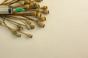 Poppy pods pile and used syringe macro on white background with copy space. Drugs raw material for...
