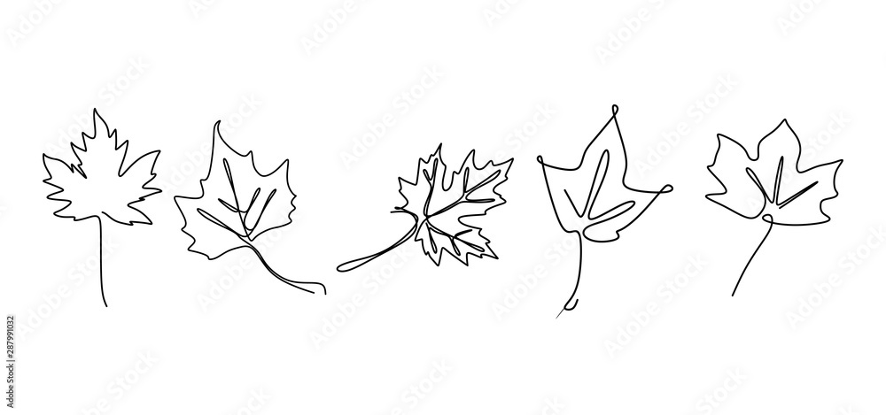 Poster continuous line drawing of maple leaves hand drawn set collections. minimal design simplicity autumn