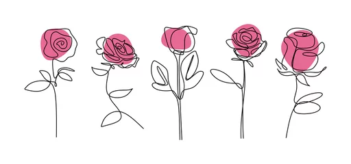 Kontinuierliche Linienzeichnung der Rose Blume Minimalistische florale botanische Gartenvektorillustration. Sammlungen von einzelnen handgezeichneten Set-Elementen. © ngupakarti