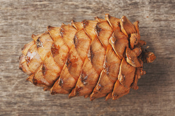 Scales of pine cones, texture closeup. Superfood, macro, full screen, background substrate