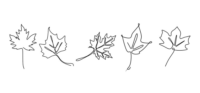 Leaf on sale line art