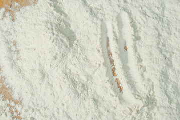 Texture of wheat flour. White flour closeup. Traces from the toes of the croup.