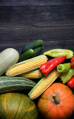 Autumn vegetable background with dark wooden table. Harvest Thanksgiving day. Organic vegetarian products pumpkin, corn, cabbage, pepper. Greeting card, poster, banner concept with copy space for text