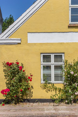 Facade of a yellow house with flowers in Ribe, Denmark