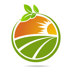 Farm fresh of vector emblems and stickers . Farming and agriculture, organic food, locally grown design elements for product packaging