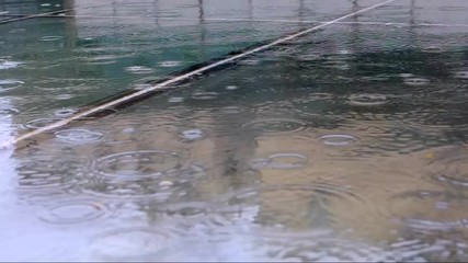 drops of autumn rain close up