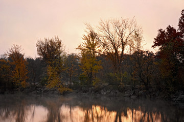 sunset in the forest