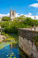 Naklejka premium Steeples of the Saint-Andre church and view of Niort from the quay of Sevre Niortaise river in France
